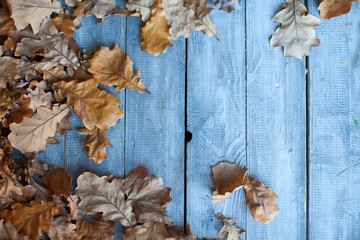 Autumn leaves on the wooden table