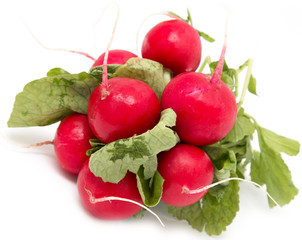 fresh radishes on a white background