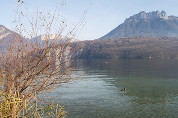 Annecy lake landscape in France