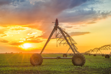 Automated farming irrigation system in sunset