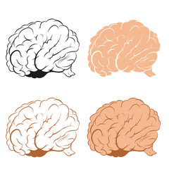 Set of Brains