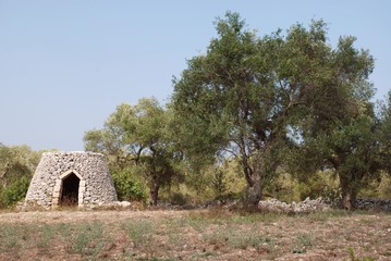 Olive Tree and Trullo