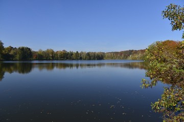 Fototapeta na wymiar Le grand étang sous un ciel bleu d'automne de la Hulpe dans la forêt de Soignes