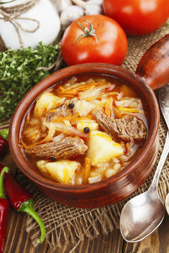 Soup with cabbage and meat