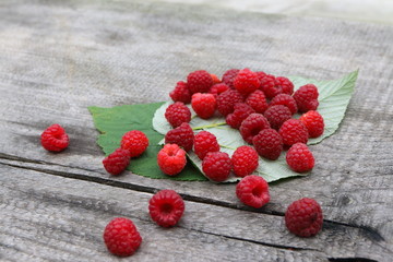 Scattering of the fresh-picked forest raspberries (Rubus idaeus) lying on the raspberry leaves