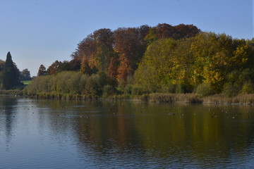 La végétation en automne le long de l'étang du Gris Moulin à le Hulpe