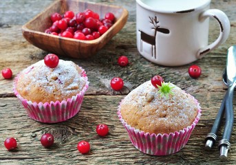 homemade muffins with fresh and dried cranberries