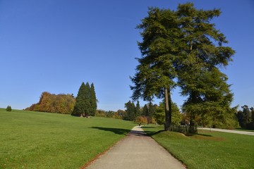 Chemin secondaire traversant l'une des pelouses du parc Solvay de la Hulpe