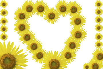 sunflower frame_set2