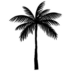 Obraz premium silhouette of palm trees