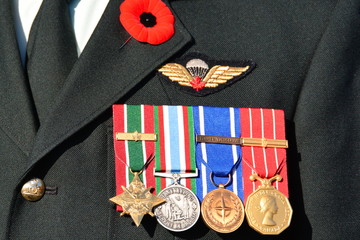 Remembrance day, November 11th.