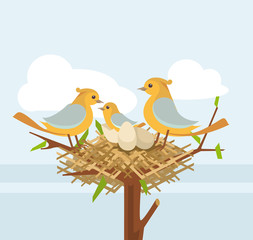 Bird nest on the tree branch with bird family. Vector flat illustration