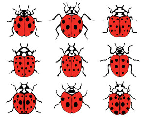 Set of different cheerful ladybugs, vector illustration