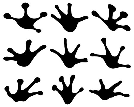 Black footprints of frogs on a white background, vector