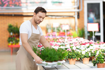 Pleasant flowershop owner holding tray with plants 