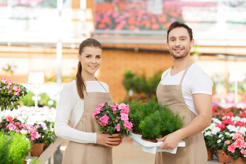 Positive florists working together 