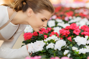 Charming florist smelling flowers