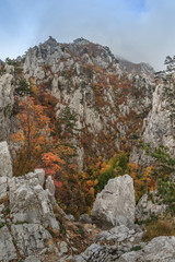 Fototapeta na wymiar Tasnei Gorge, Romania