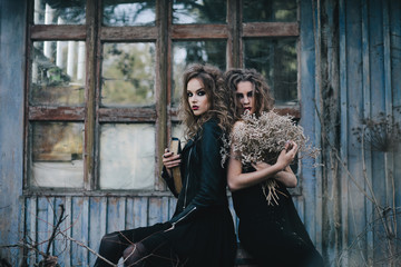 Two vintage witches gathered eve of Halloween