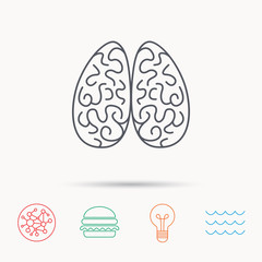 Neurology icon. Human brain sign.