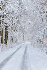 Winterwunderland - Straße durch den Winterwald