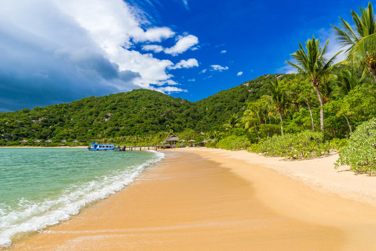 Beautiful Beach At Coast Of Vietnam - Ninh Van Bay