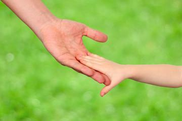 a father  holds the hand of a small child on a green background