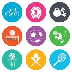 Sport games, fitness icon. Football, basketball.