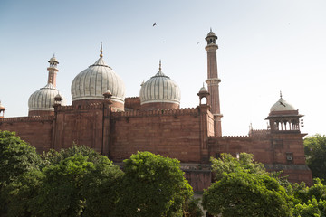 Fototapeta na wymiar Jama Masjid Mosque, Old Delhi, India.