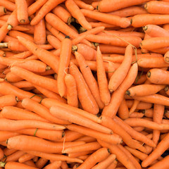 Carrots.  Fresh organic carrots.  Background texture of  carrots