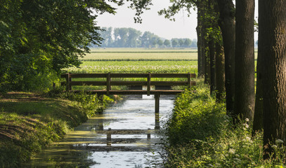 Fototapeta na wymiar Small wooden bridge reflected in a stream