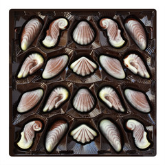 Chocolate candies, seashell and seahorse truffles, artisanal confections in a box on a white background