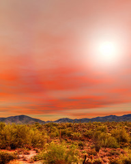 Sunrise Sonora Desert