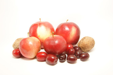 autumnal small fruits