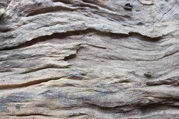 Texture of Wood background closeup.

