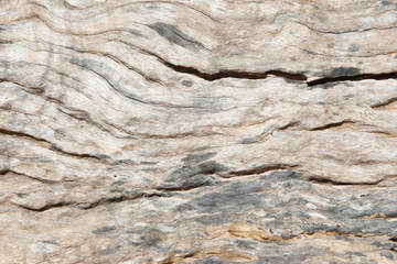 Texture of Wood background closeup.

