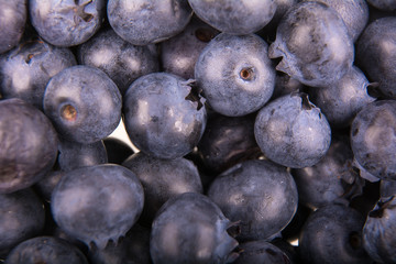 Freshly picked group of blueberries as background