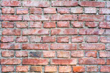 Brick wall - 95966275