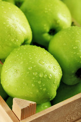 Ripe green apple in crate close up