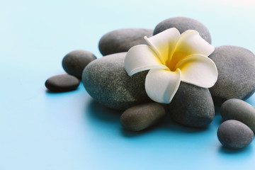Fototapeta na wymiar Spa stones with flower on blue background