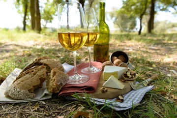 Foto op Aluminium Beautiful composition of white wine, cheese, nuts and bread on the ground in the park © Africa Studio