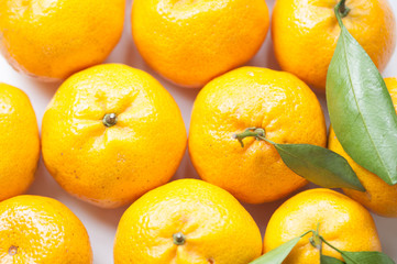 oranges on white background