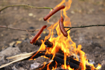 Sausages on fire in the wood