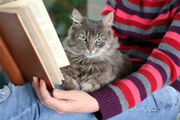 Reading woman sitting on window boar with cat on knees