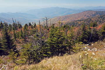 Smoky Mountains National Park