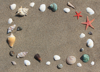Frame from cockleshells on sand