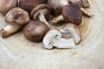shiitake mushrooms on a wooden cutting board