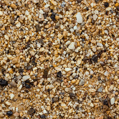 sand texture from sand pile