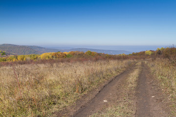  Rural road leaving afar to horizon.
