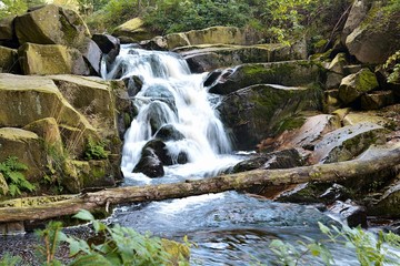 Der Fluss Ilse bei Ilsenburg im Nationalpark Harz 